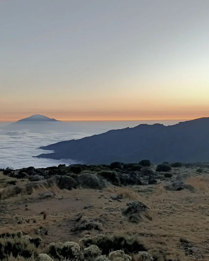 Sunrise over moorland below Kilimanjaro, with a distant peak above a sea of cloud