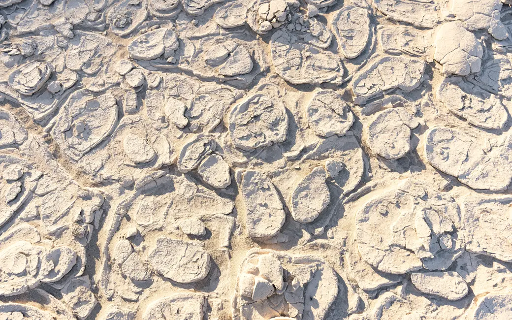 Overhead view of pale, cracked salt-crust terrain