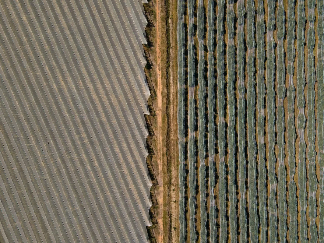 Aerial view of striped cultivated fields